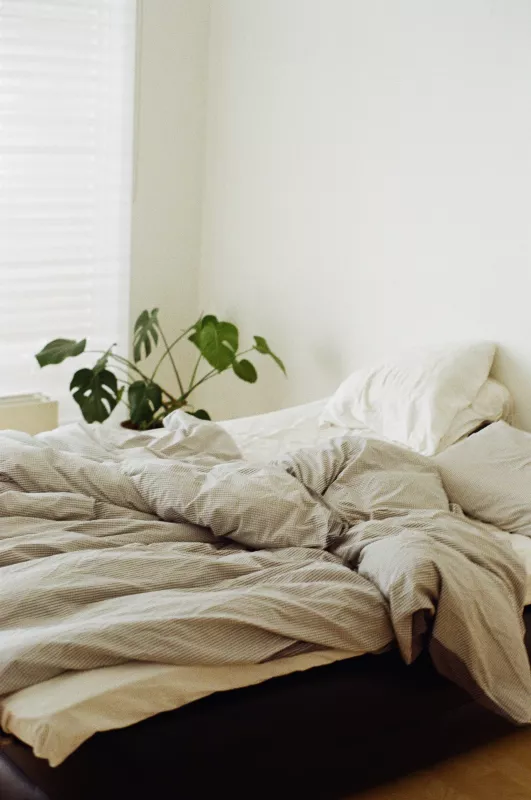 Best CBD Gummies for Improving Sleep Quality 2025: Top Choices