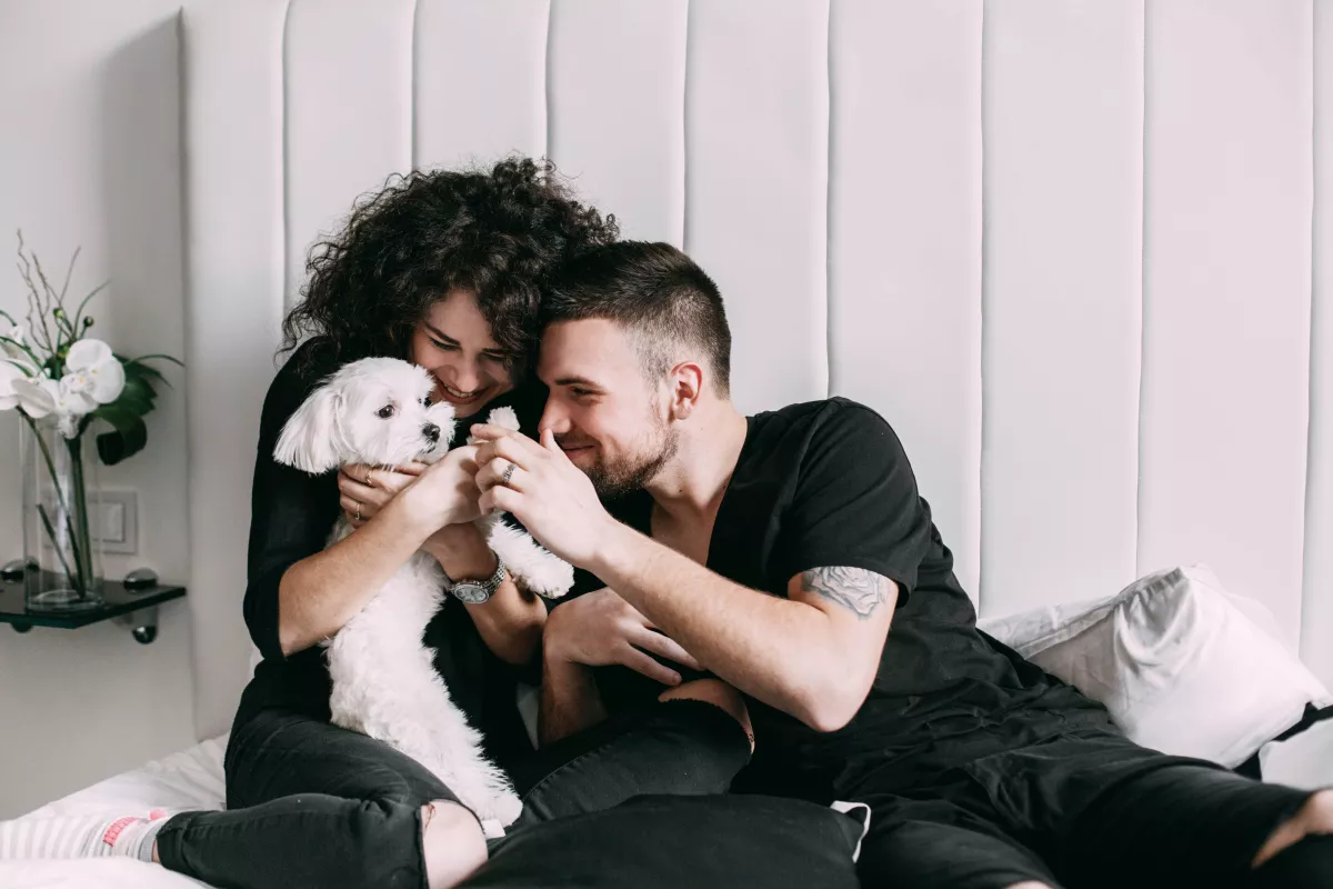 Best CBD for Pets Guide: Everything You Should Know in 2025