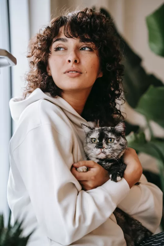 User Reviews of CBD Products for Pets and Animals 2025: What to Know