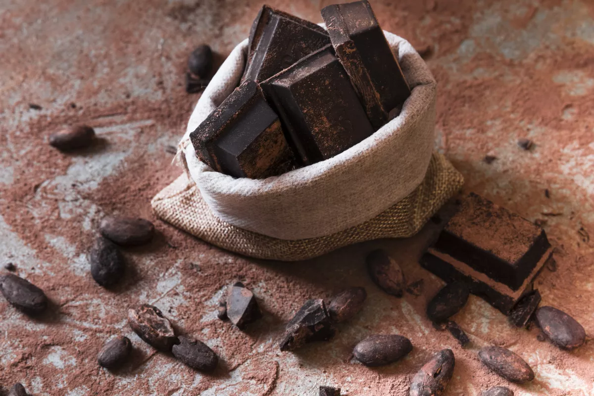 What Does CBD Chocolate Do for Your Health? Benefits and Uses 2025