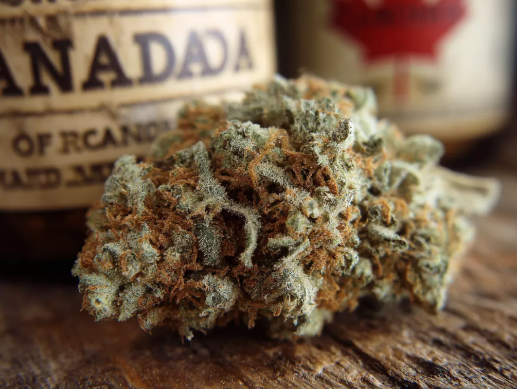 Indica Cannabis Effects: Complete Relaxation Guide
