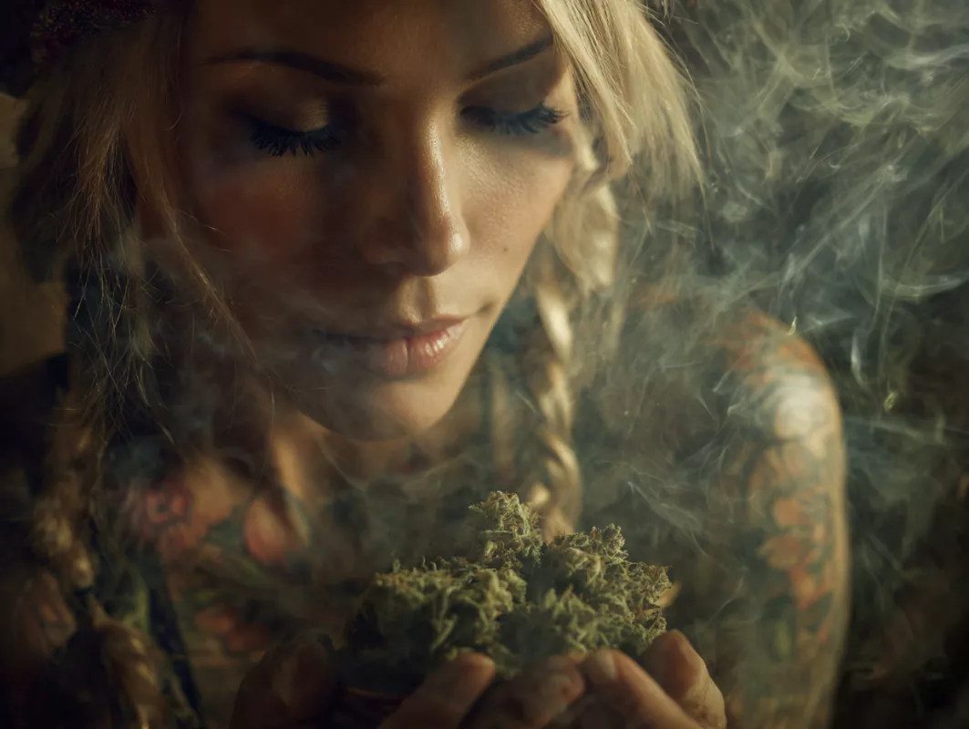 Buy Indica Online Canada: Premium Nighttime Strains
